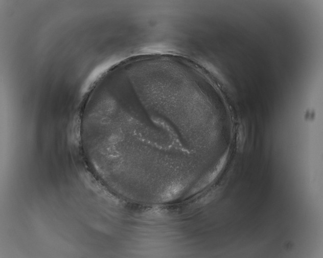 X0000112751358200909171216