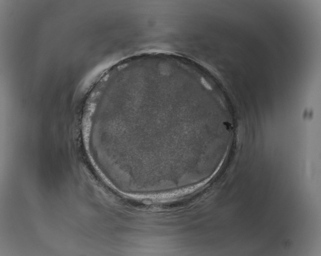 X0000112751359200909171216