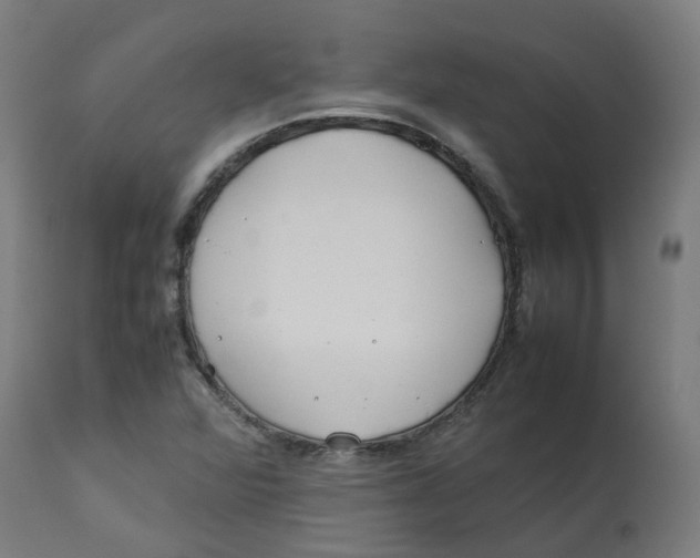 X0000112751360200909171216