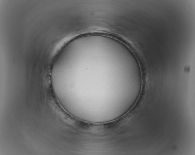 X0000112751363200909171216