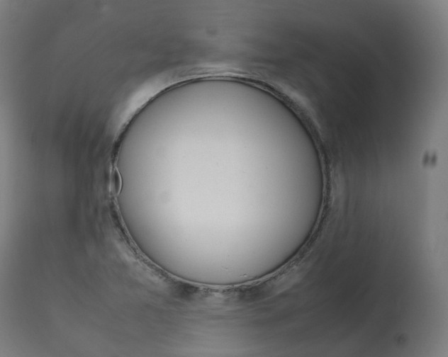 X0000112751365200909171216