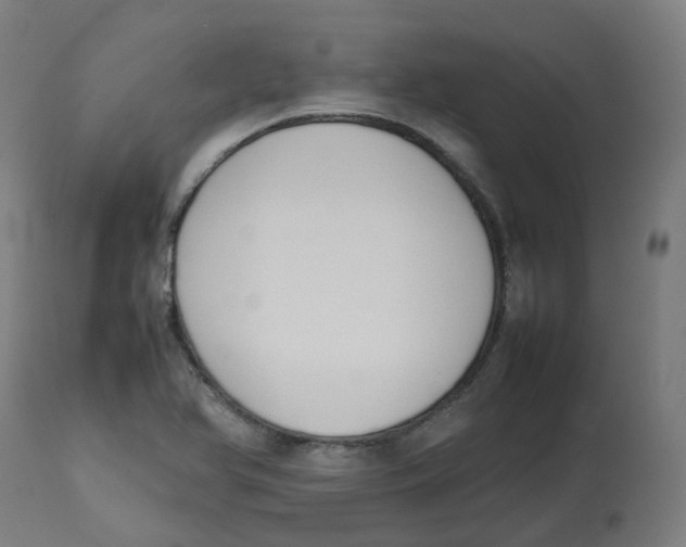 X0000112751366200909171216