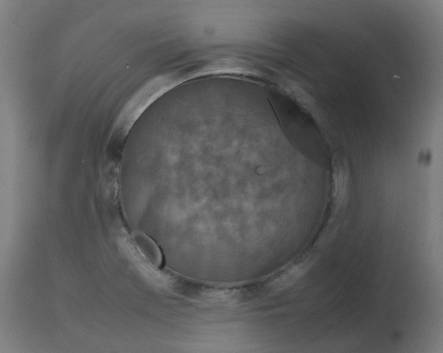 X0000112751369200909171215