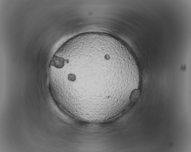 X0000112751371200909171215