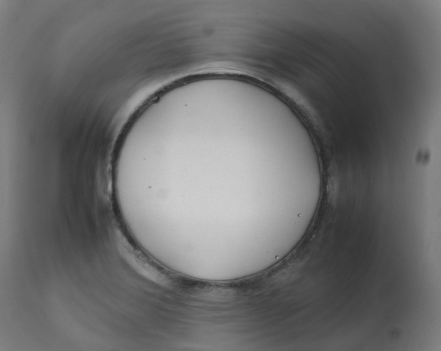 X0000112751372200909171215