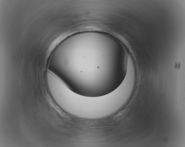 X0000112751373200909171215