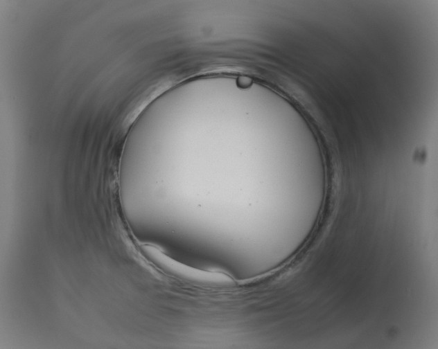 X0000112751377200909171215