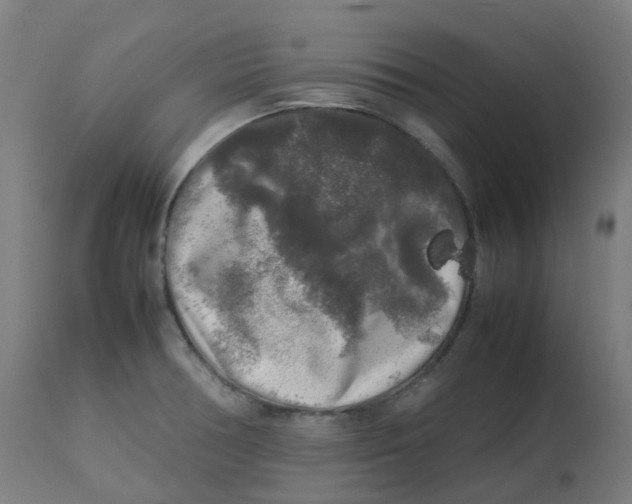 X0000112751378200909171215