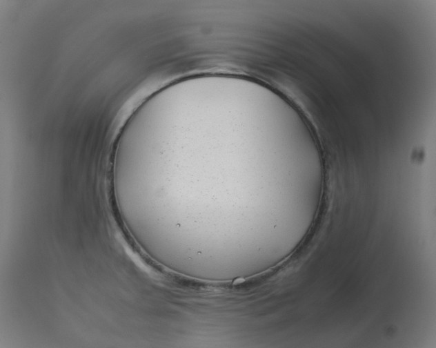 X0000112751379200909171215