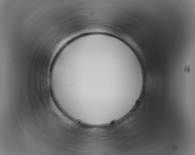 X0000112751380200909171215