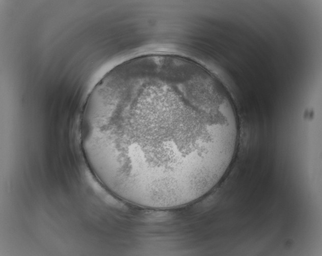 X0000112751382200909171215