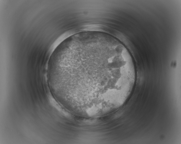 X0000112751386200909171215