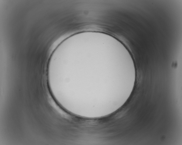 X0000112751387200909171215