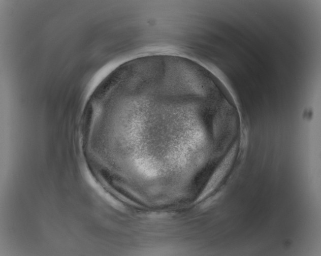 X0000112751389200909171215