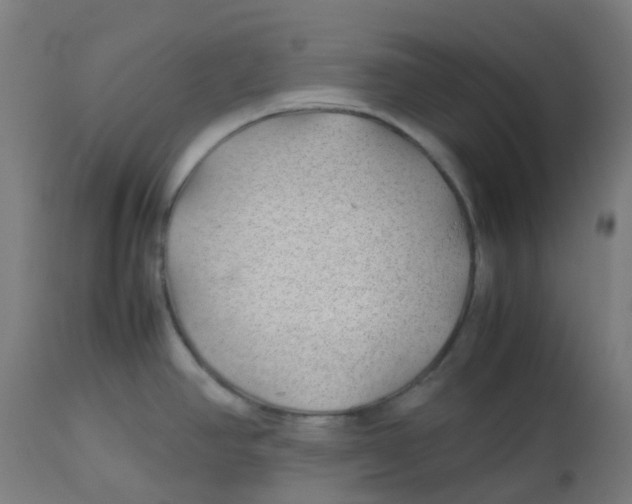 X0000112751390200909171215