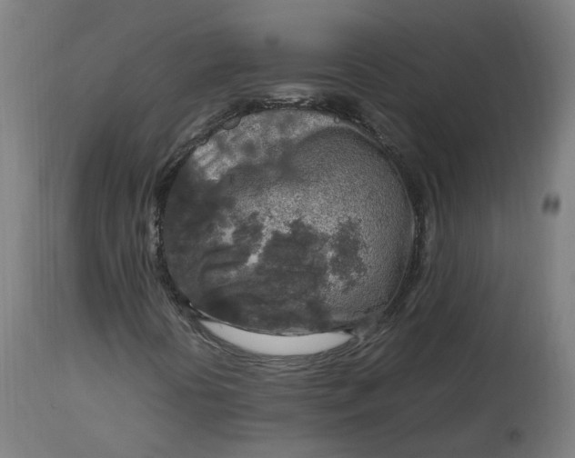 X0000112751394200909171214