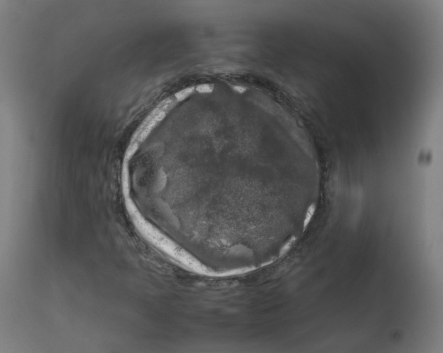 X0000112751397200909171215