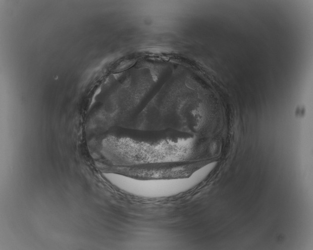 X0000112751398200909171215