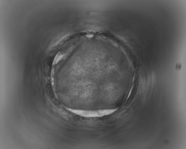 X0000112751399200909171215