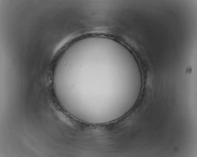 X0000112751400200909171215