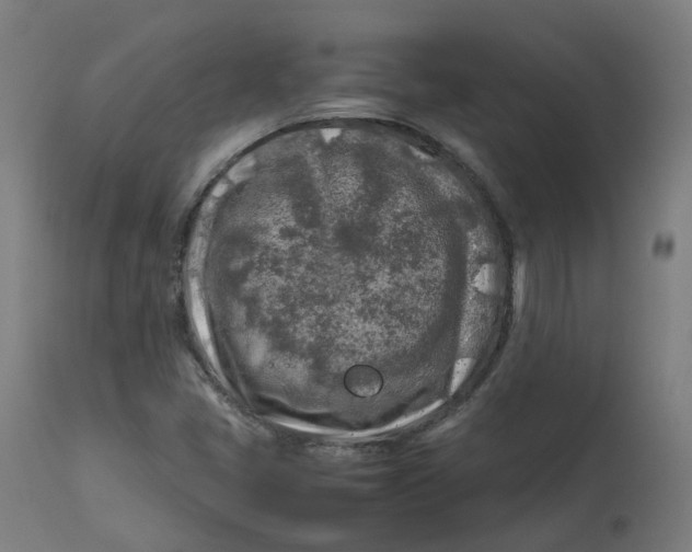 X0000112751405200909171215