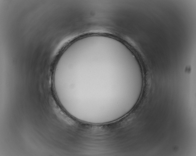 X0000112751408200909171215