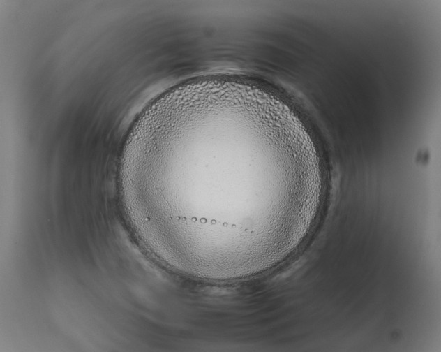 X0000112751409200909171215