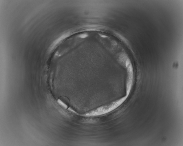 X0000112751411200909171215