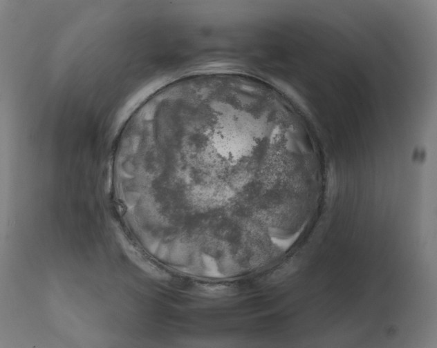 X0000112751413200909171215