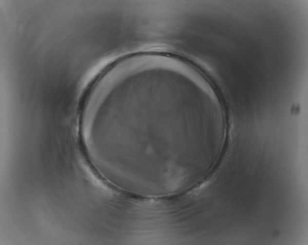 X0000112751414200909171215