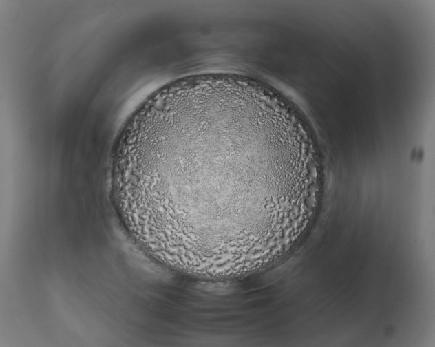 X0000112751415200909171215