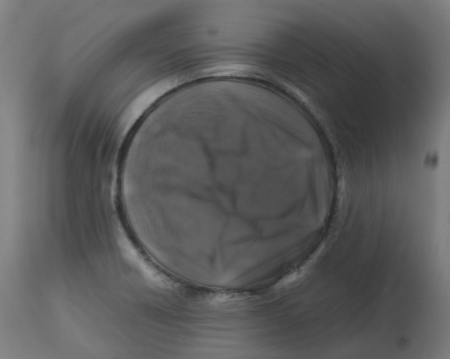 X0000112751418200909171215