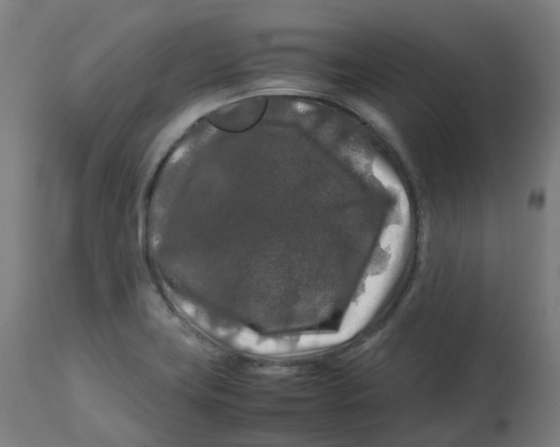 X0000112751419200909171215