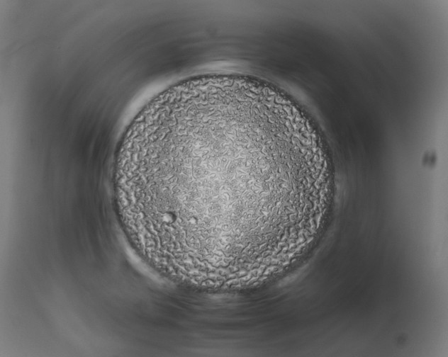 X0000112751421200909171215