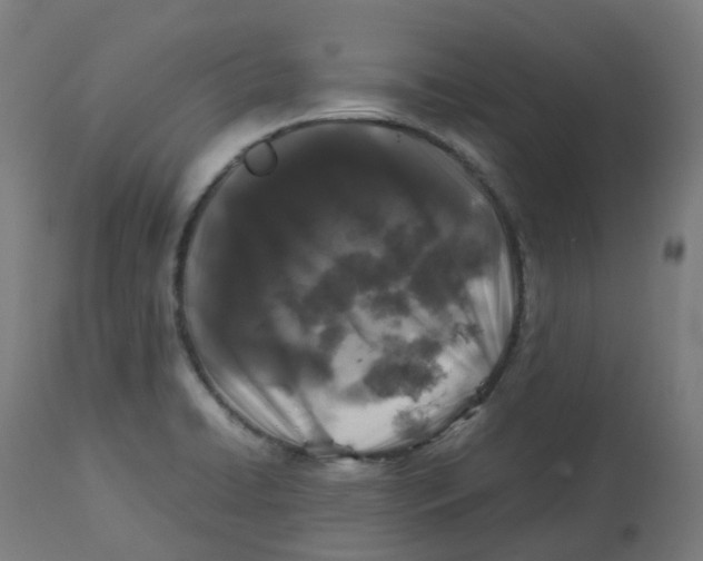 X0000112751422200909171215