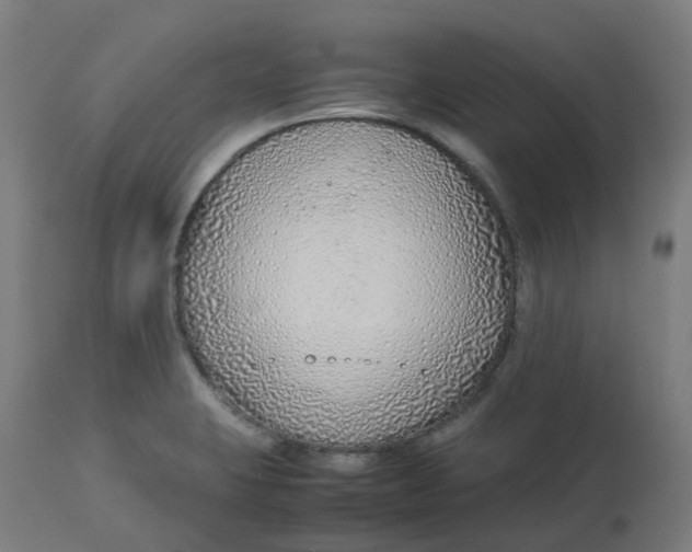 X0000112751423200909171215