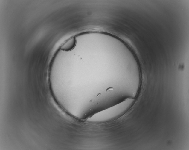 X0000112751424200909171215