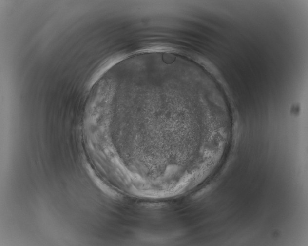 X0000112751425200909171215