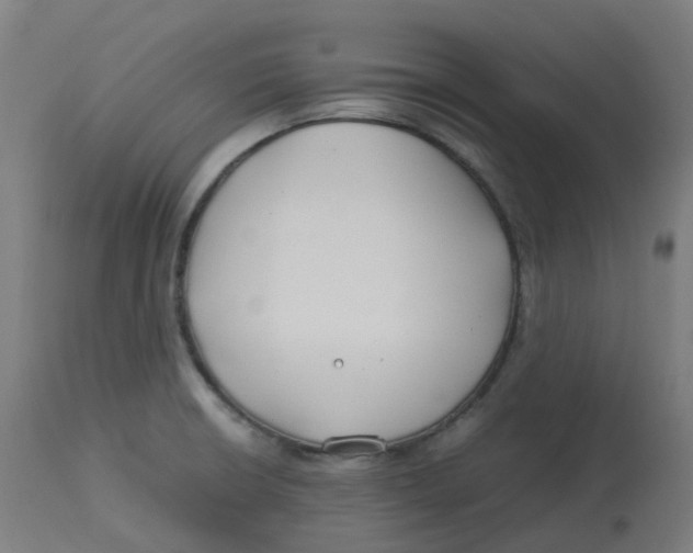 X0000112751426200909171215