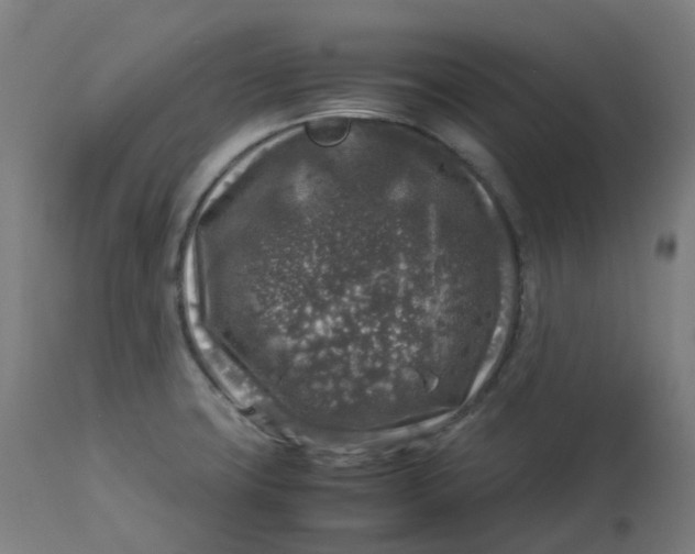 X0000112751427200909171215