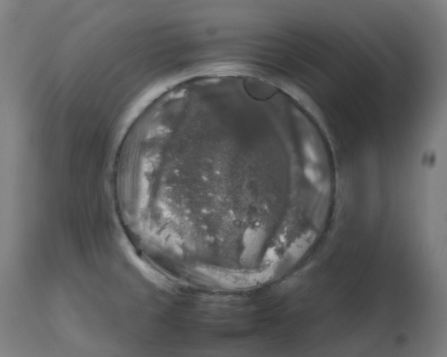 X0000112751429200909171215