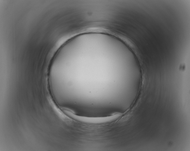 X0000112751430200909171215