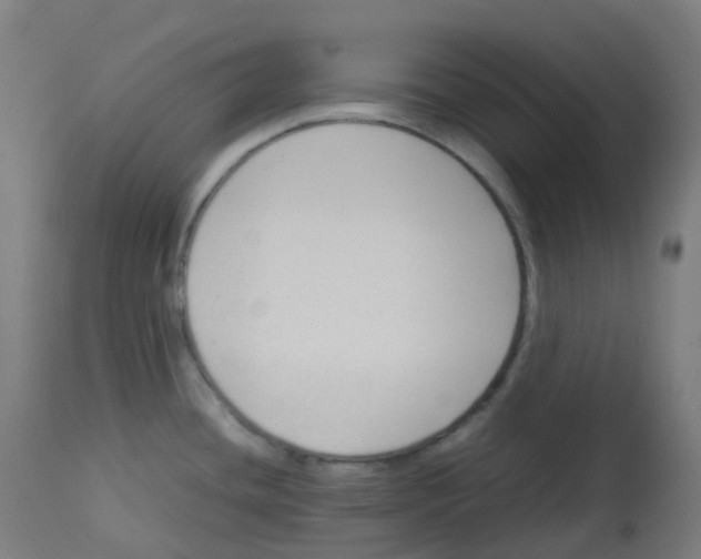 X0000112751436200909171215