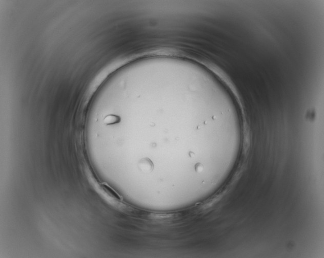 X0000112751437200909171215