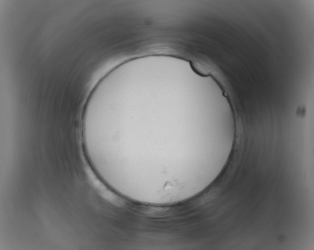 X0000112751439200909171215