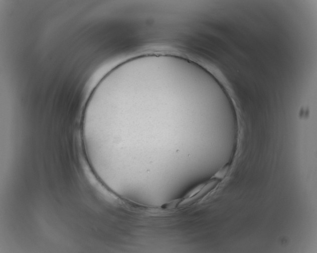 X0000112751440200909171215