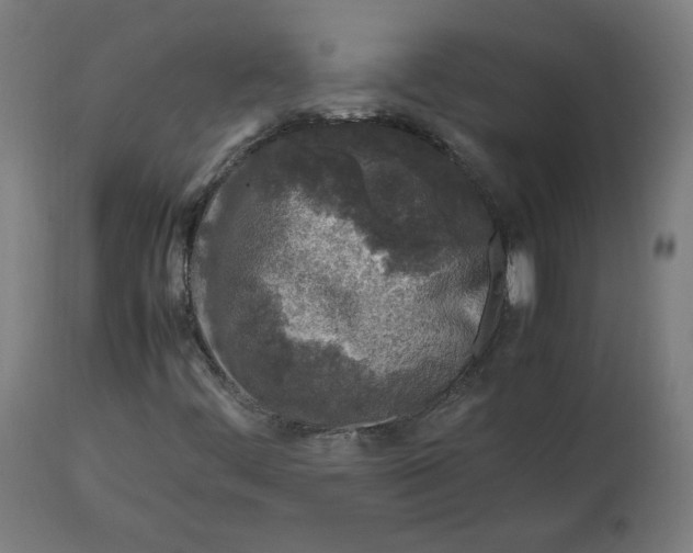 X0000112751444200909171214