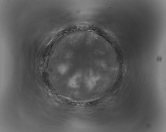 X0000112751445200909171214