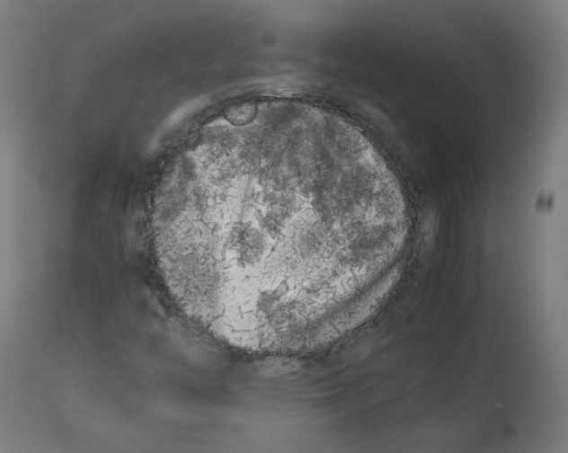 X0000112751446200909171214