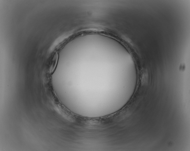 X0000112751448200909171214